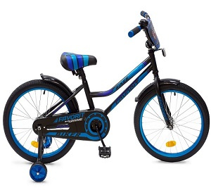 Велосипед детский двухколесный Favorit Biker 20 - фото
