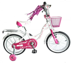 Велосипед детский двухколесный Delta Butterfly 